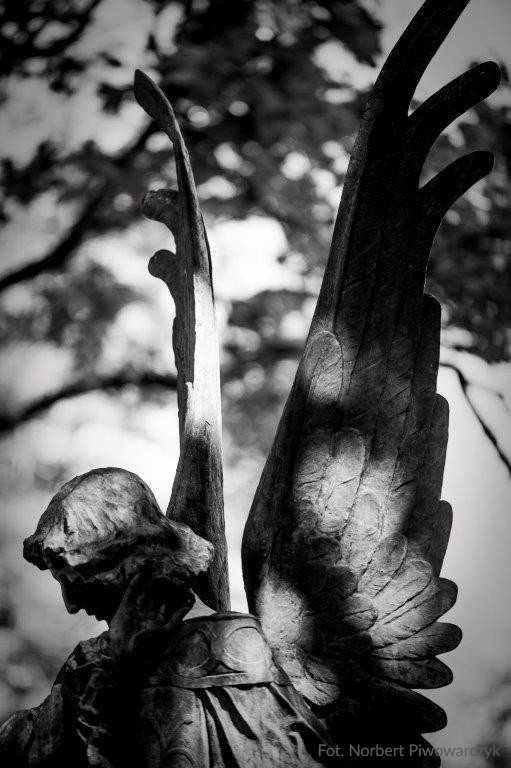  dsc7661-5-874
