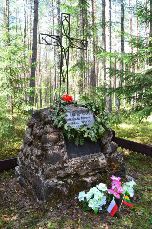 Mogiła powstańca styczniowego, Antoledzie, Litwa, Instytut POLONIKA