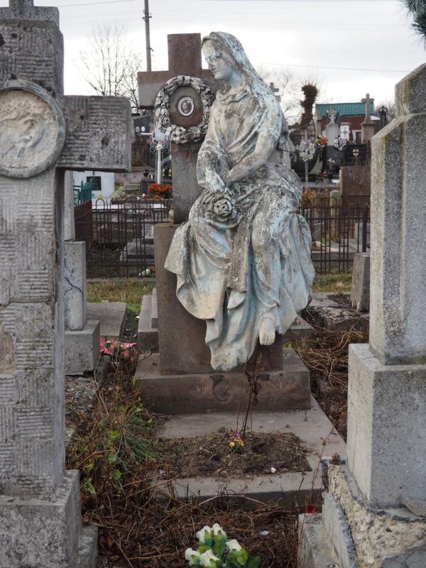 Ochrona dziedzictwa kulturowego dawnego województwa ruskiego, Instytut POLONIKA