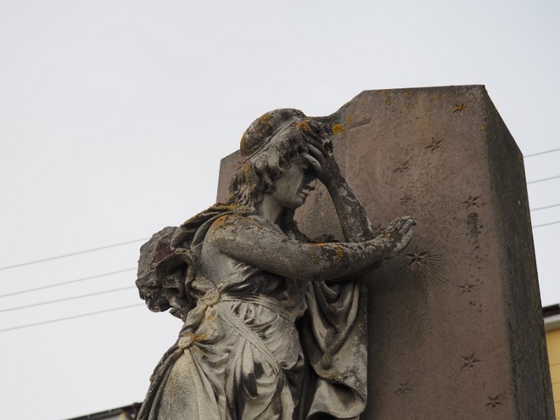 Ochrona dziedzictwa kulturowego dawnego województwa ruskiego, Instytut POLONIKA